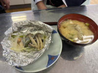 3BE79605EE1377039C0C697F5524C6B97E58D264