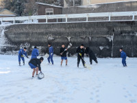 PXL_20260209_004521655.MP