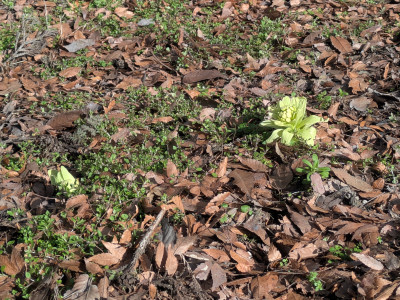 PXL_20260305_032135273