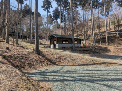 PXL_20260305_031853611.MP