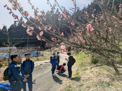 PXL_20260305_042602042