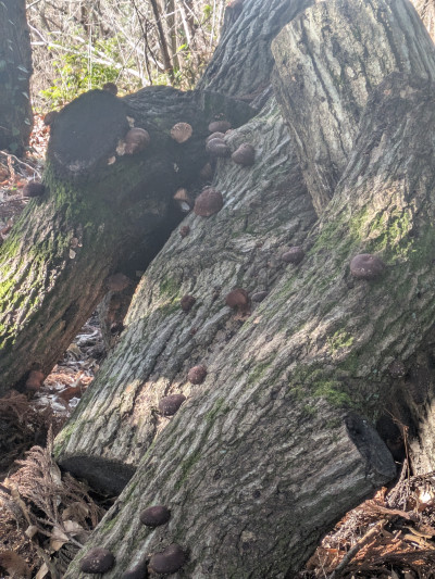 PXL_20260305_003941290