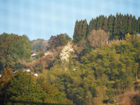 P3240043
