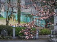 P3250006