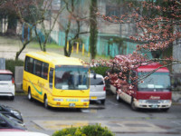 P3250011 (2)