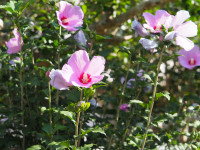 P9240006