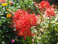 P9240011