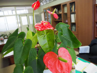 P9280015