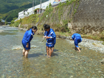 なんかおる